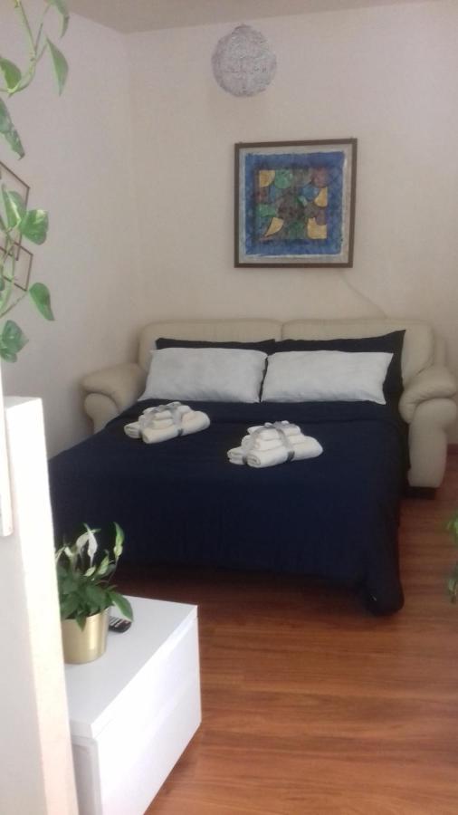 布伦托尼克Casa Cris别墅 外观 照片